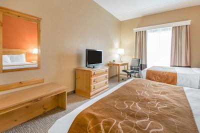 کمفرت سویتز آیرپرت