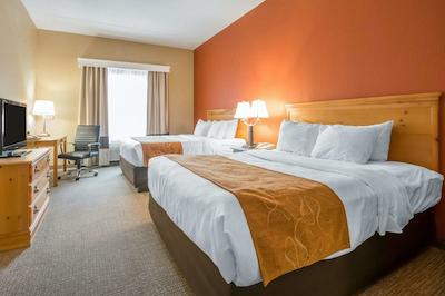 کمفرت سویتز آیرپرت