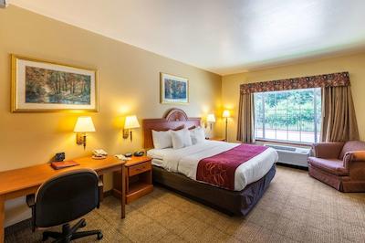 سورست پلاس هتل بای بست وسترن مسکویت