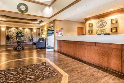 کمفرت سویتز رلا