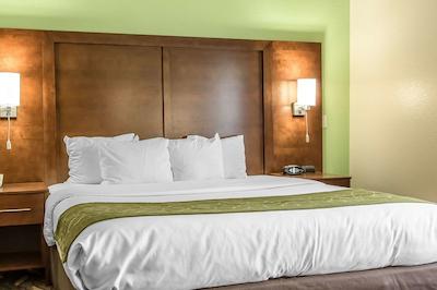 کمفرت سویتز رلا