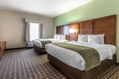 کمفرت سویتز رلا