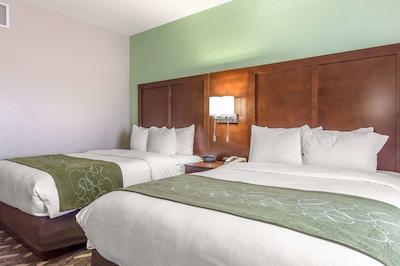 کمفرت سویتز رلا