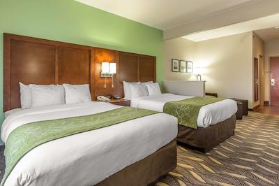 کمفرت سویتز رلا