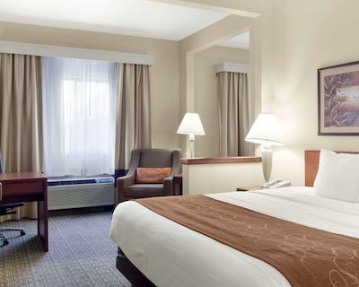 کمفرت سویتز