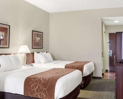 کمفرت سویتز