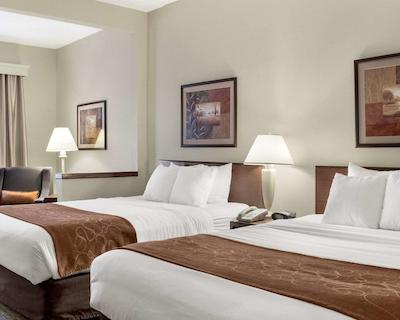 کمفرت سویتز