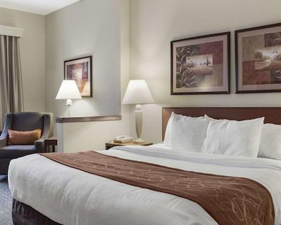 کمفرت سویتز