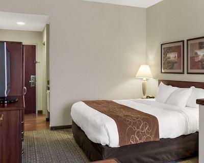 کمفرت سویتز