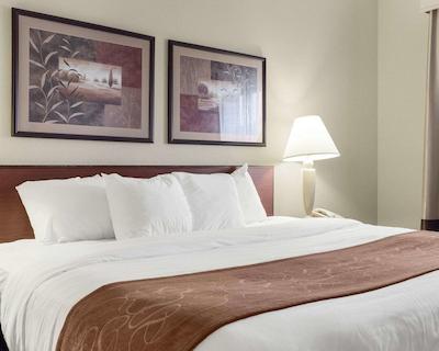 کمفرت سویتز