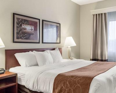 کمفرت سویتز