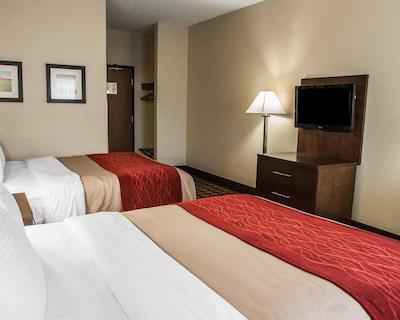 کمفرت این ریچمند