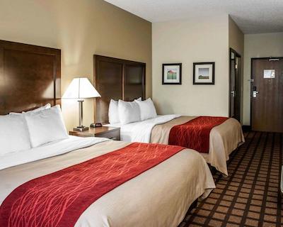 کمفرت این ریچمند