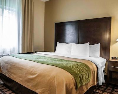 کمفرت این ریچمند