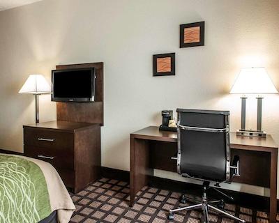 کمفرت این ریچمند