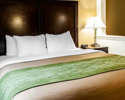 کمفرت این ریچمند