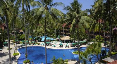 پاتنگ مرلین