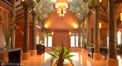 پاتنگ مرلین