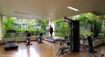 پاتنگ مرلین