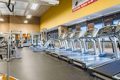 کوالیتی این