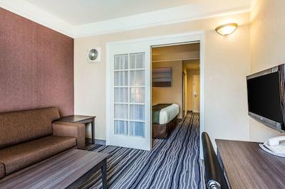 کوالیتی سویتز سان دیگو اسیورلد اریا