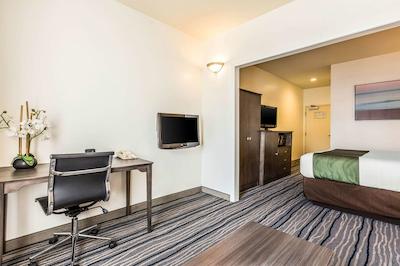 کوالیتی سویتز سان دیگو اسیورلد اریا