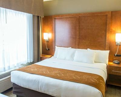 کمفرت سویتز مارکت