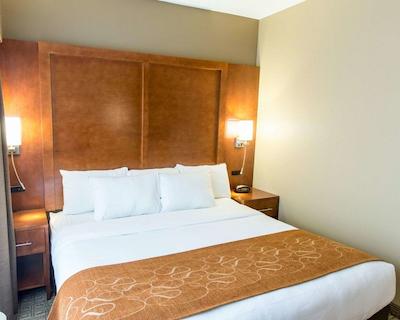 کمفرت سویتز مارکت