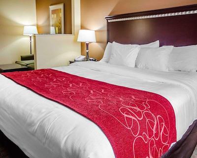 کمفرت سویتز ایست