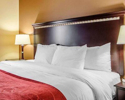 کمفرت سویتز ایست