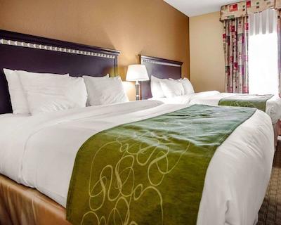 کمفرت سویتز ایست