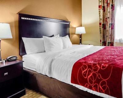 کمفرت سویتز ایست