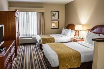 کمفرت سویتز