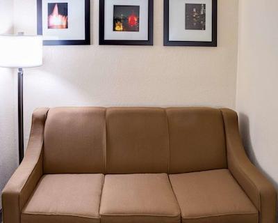 کمفرت سویتز اُماها