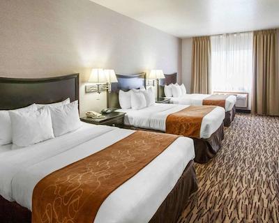 کمفرت سویتز پرتلاند آیرپرت