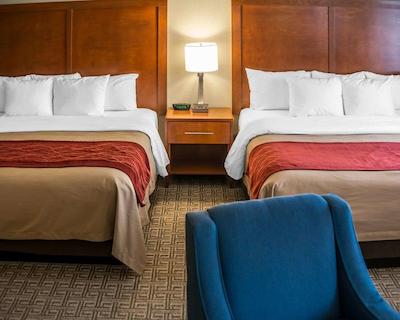 کمفرت این نیر جیلا نیشنال فرست