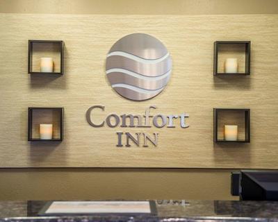 کمفرت این نیر جیلا نیشنال فرست