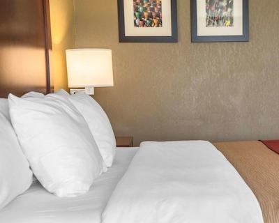 کمفرت این نیر جیلا نیشنال فرست