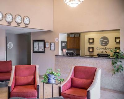 کمفرت این نیر جیلا نیشنال فرست