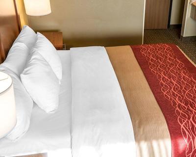 کمفرت این نیر جیلا نیشنال فرست