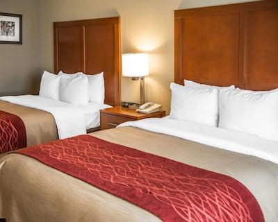 کمفرت این نیر جیلا نیشنال فرست