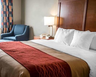 کمفرت این نیر جیلا نیشنال فرست