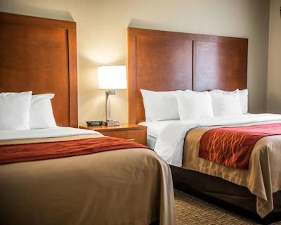 کمفرت این نیر جیلا نیشنال فرست