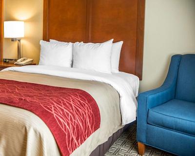 کمفرت این نیر جیلا نیشنال فرست