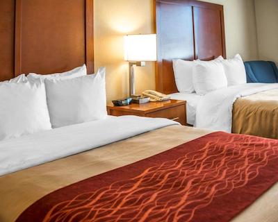 کمفرت این نیر جیلا نیشنال فرست