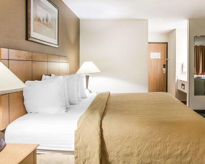 کوالیتی این اسود