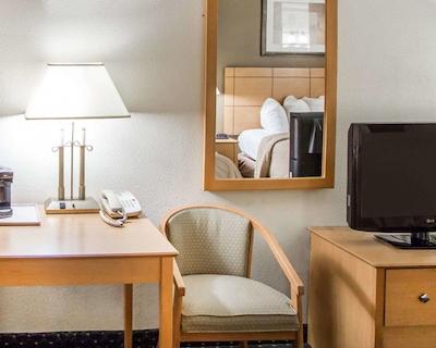 کوالیتی این اسود