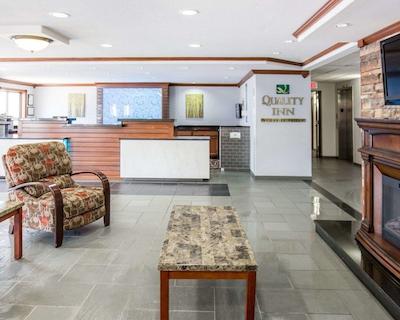 کوالیتی این اسود