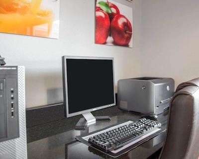 کوالیتی این اسود