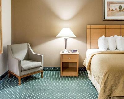 کوالیتی این اسود